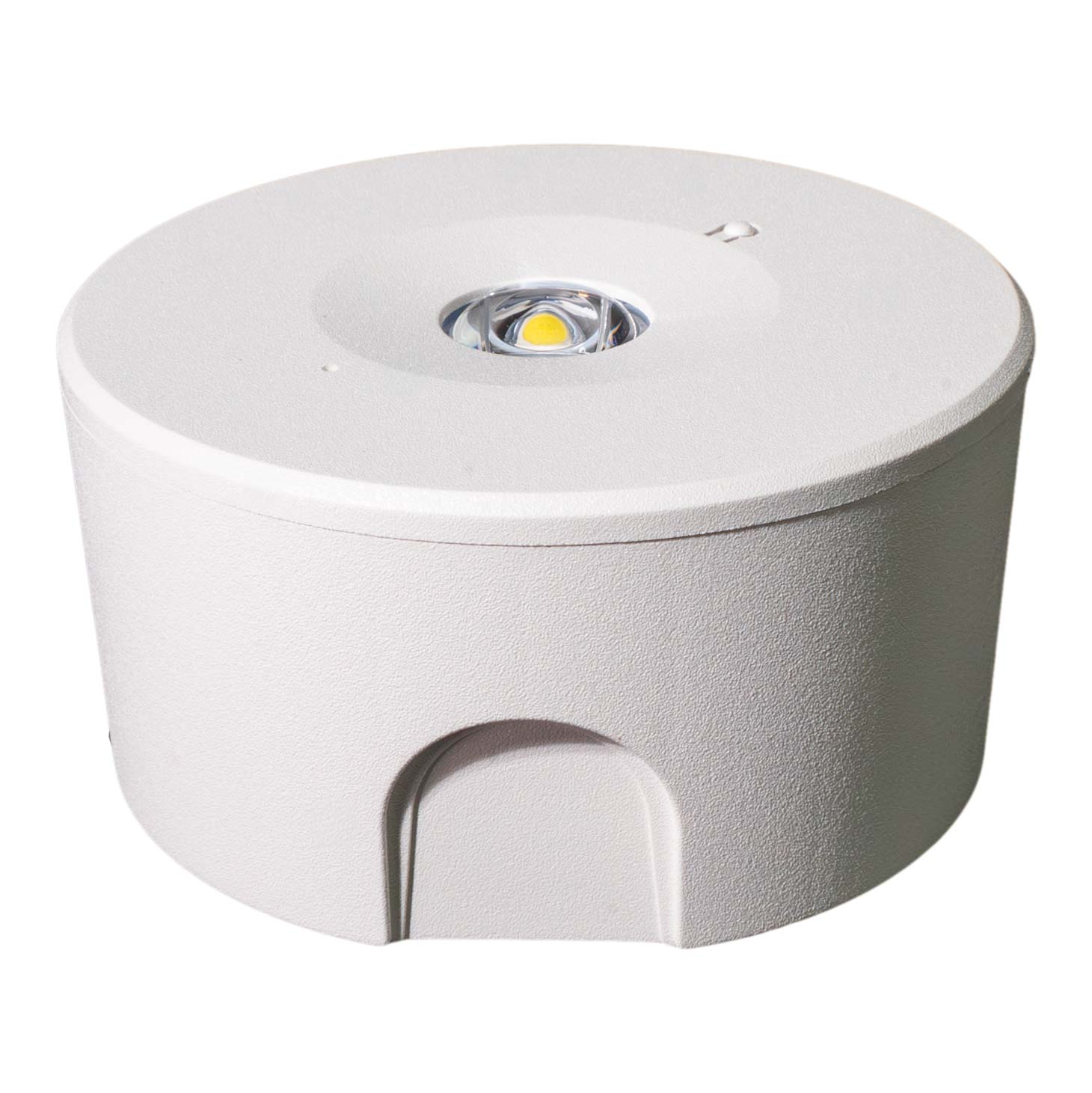 DualPin 1W Emergency Downlight image
