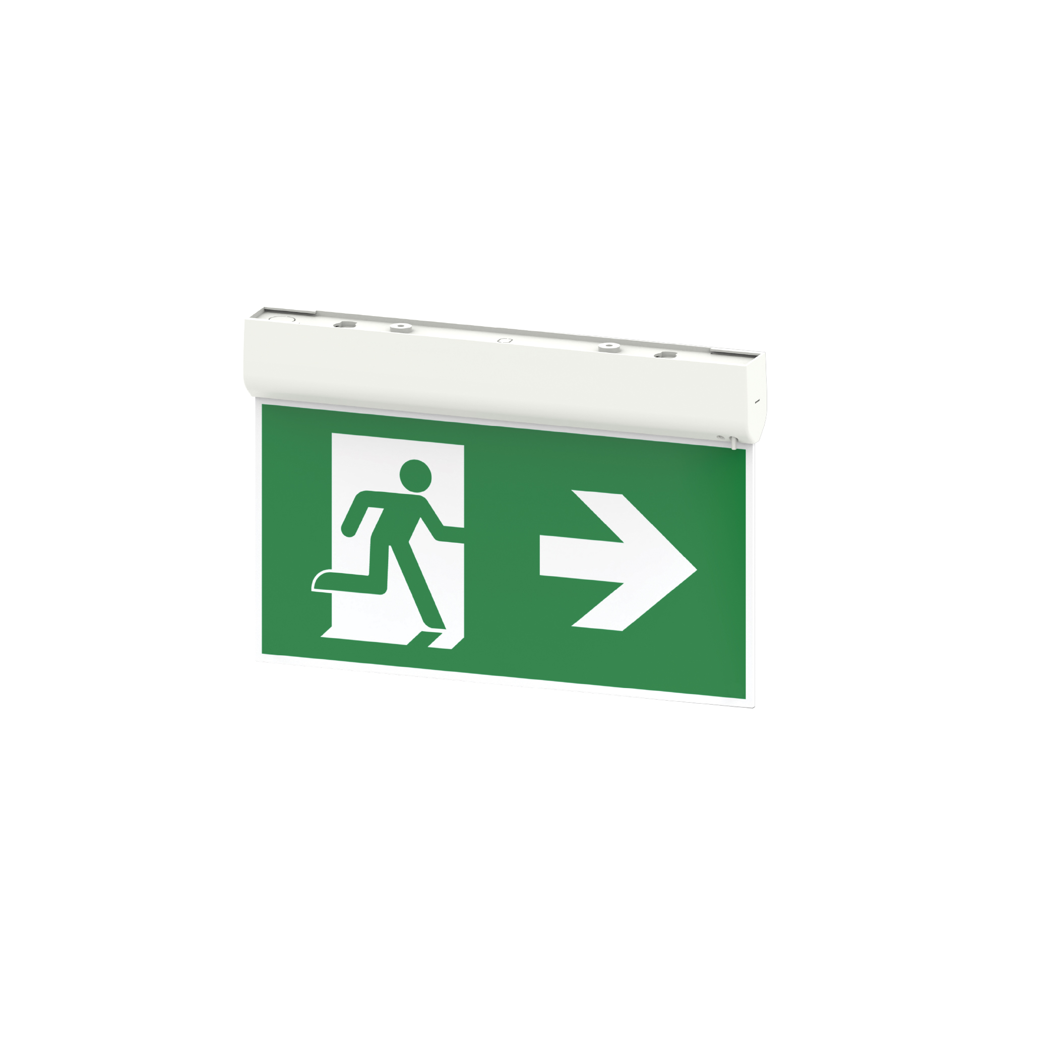 QBlade Dali Multi-Install Exit Sign image
