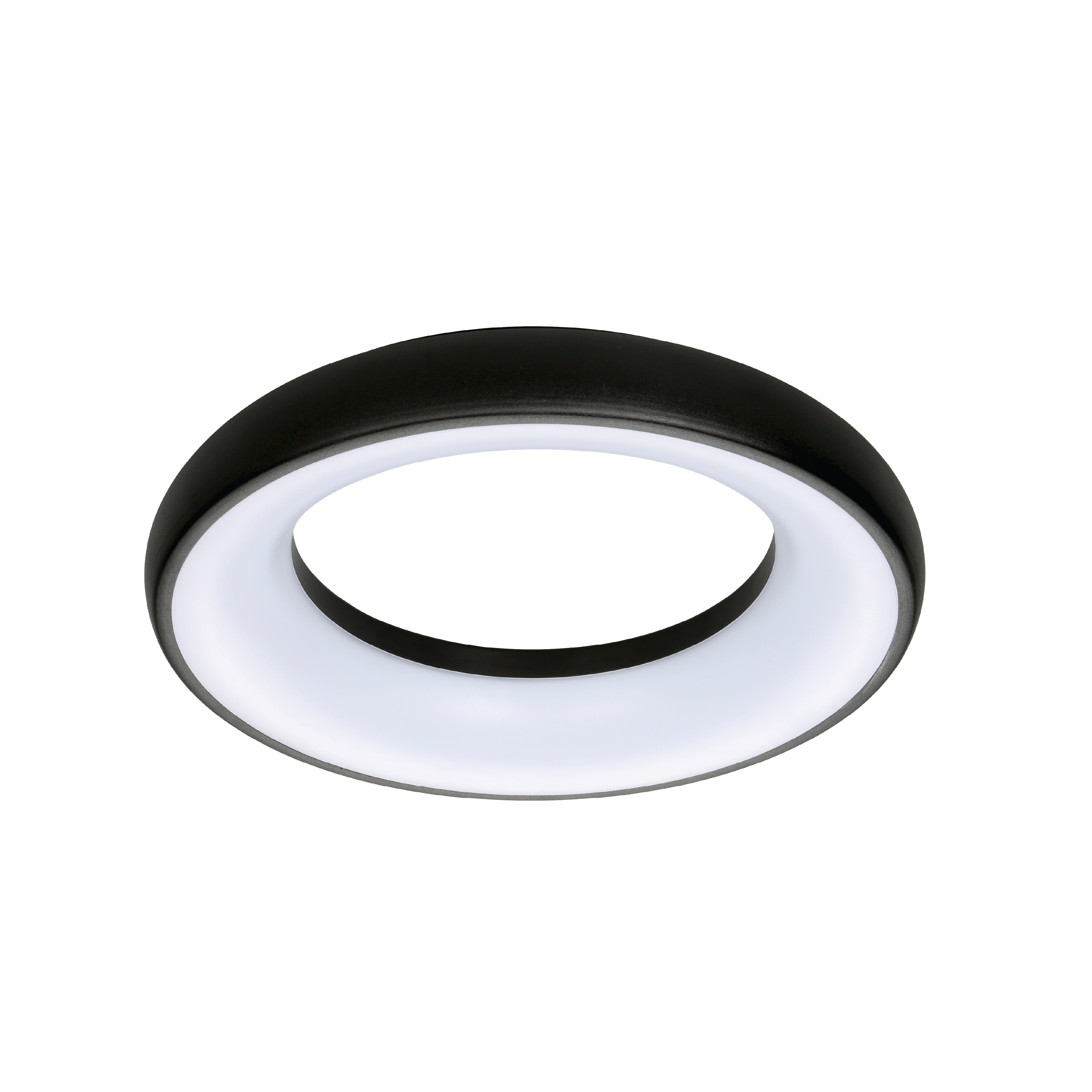 Polo Ring  Surface Pendant image