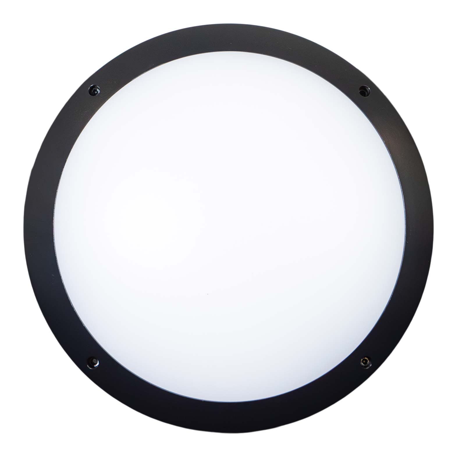 12-22w Full Moon Bulkhead image