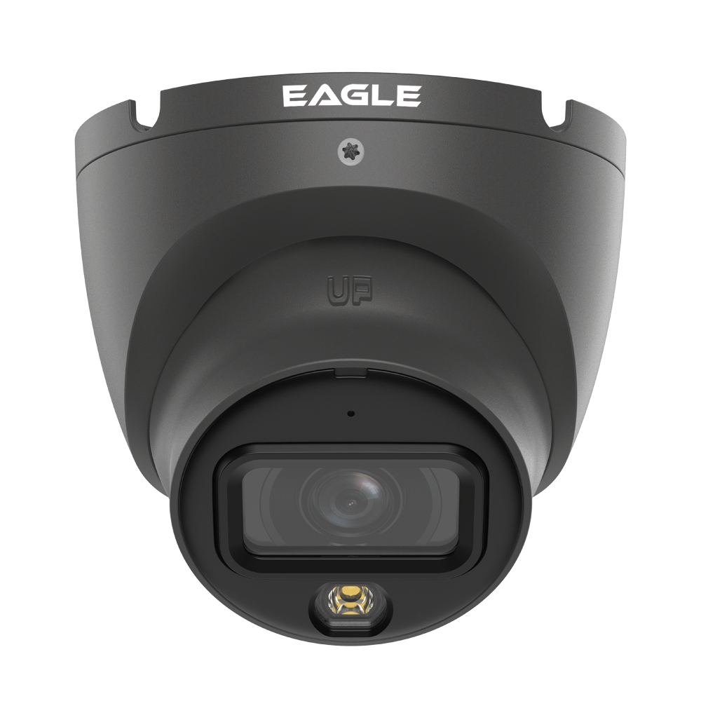 4K/8MP Smart Dual Light Fixed-focal Eyeball Network Camera Grey image